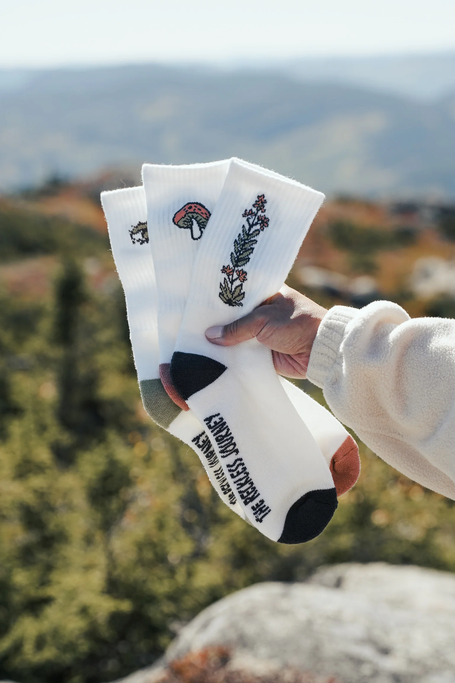 Hiker Socks Trio Pack